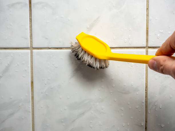 Best Office Mold Removal Services  in Marysville, CA
