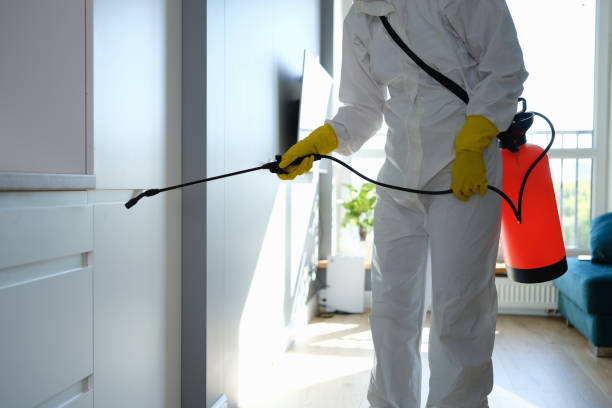 Best Attic Mold Removal  in Marysville, CA