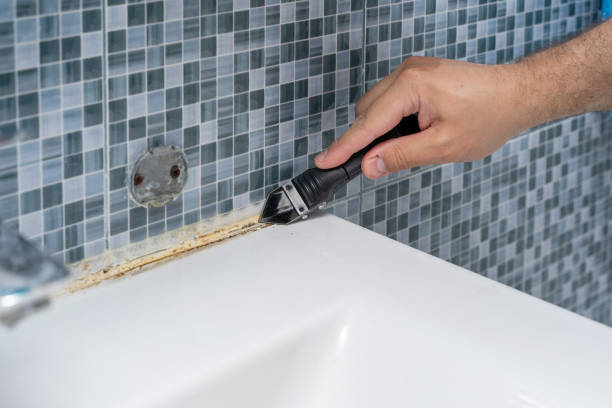 Trusted Marysville, CA Mold Removal Experts
