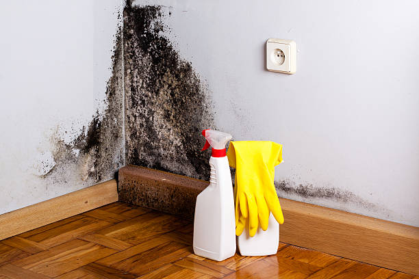 Best Mold Testing  in Marysville, CA
